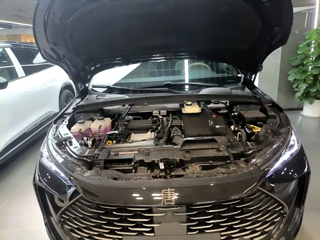 BYD Tang New Energy — миниатюра 16
