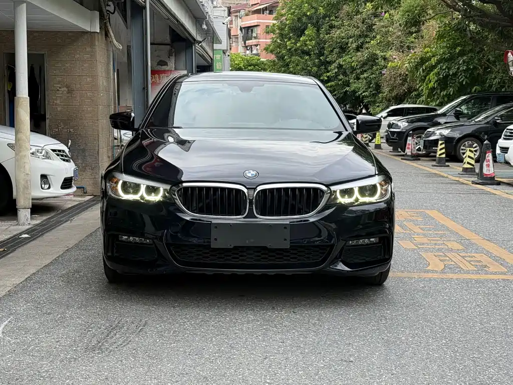 BMW 5 Series — миниатюра 3