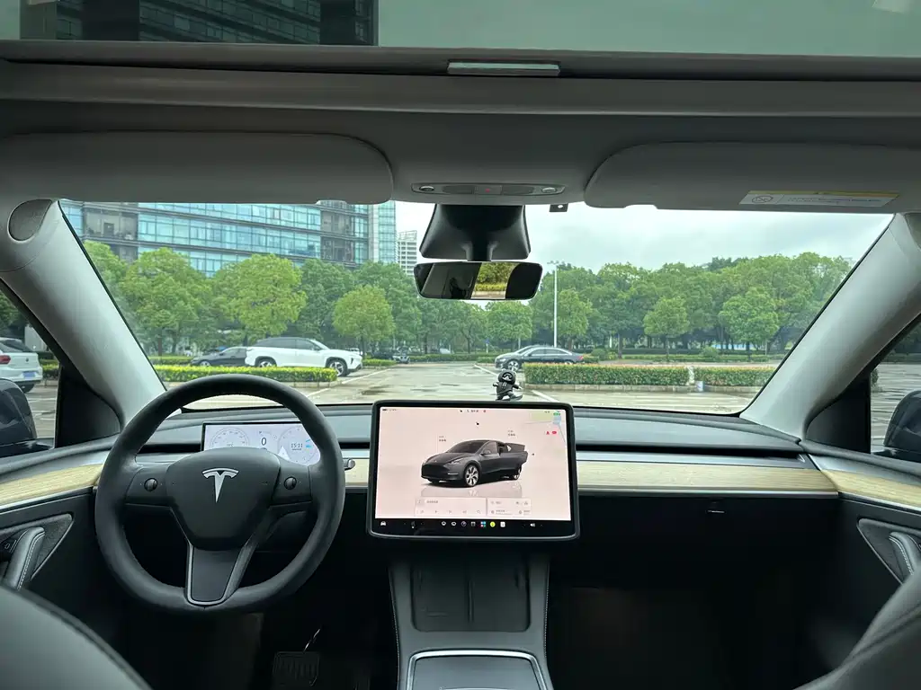 Tesla Model Y — миниатюра 13