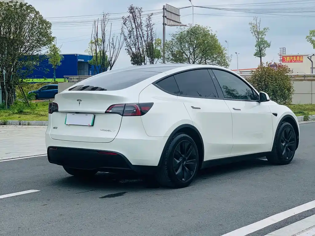 Tesla Model Y — миниатюра 7