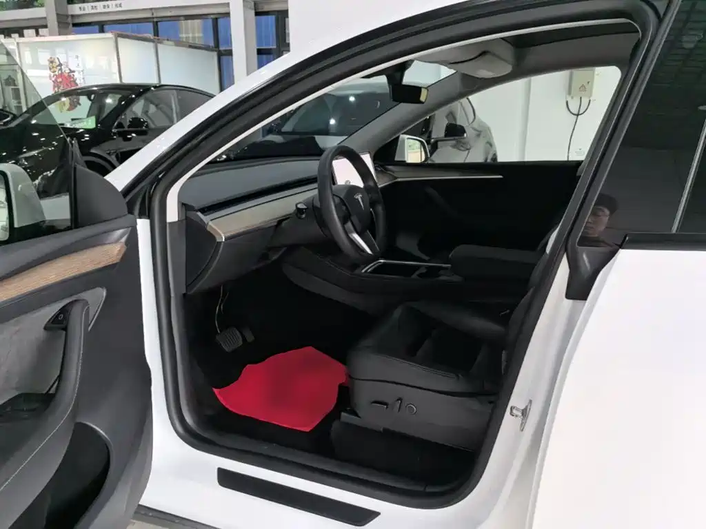 Tesla Model Y — миниатюра 16