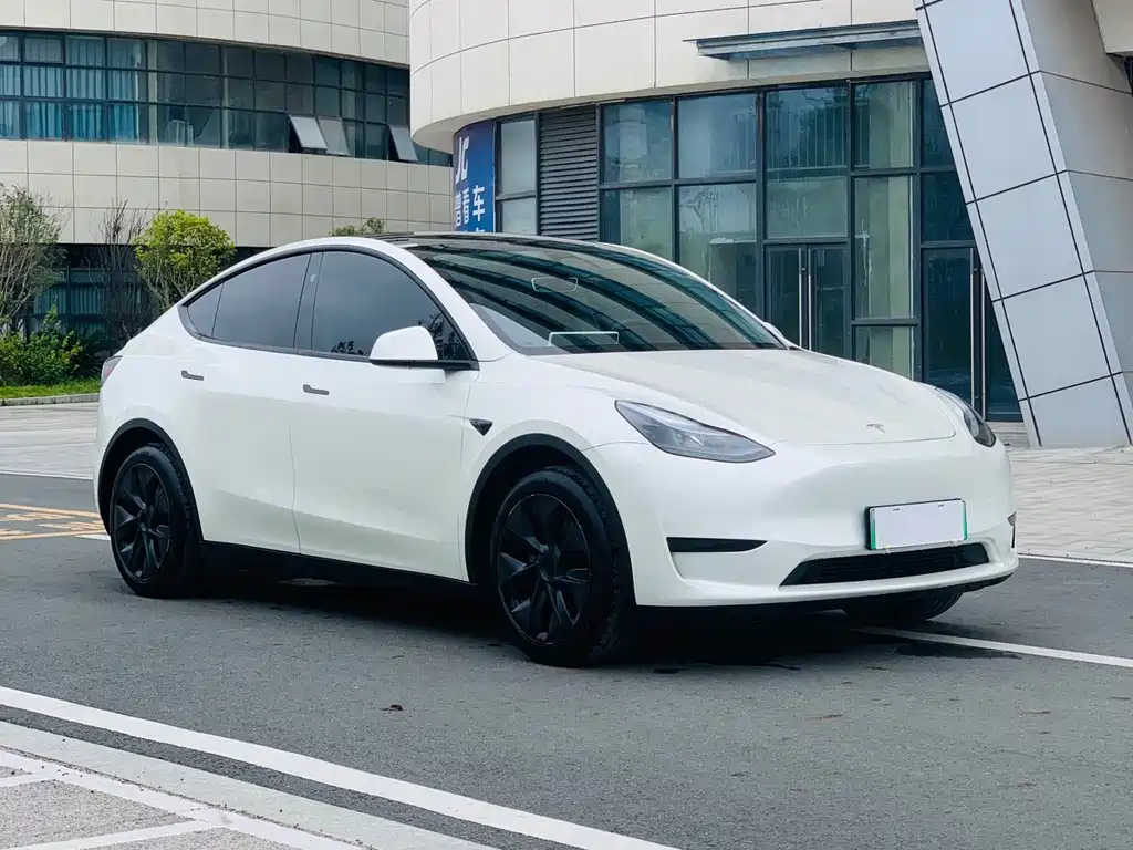 Tesla Model Y — миниатюра 3