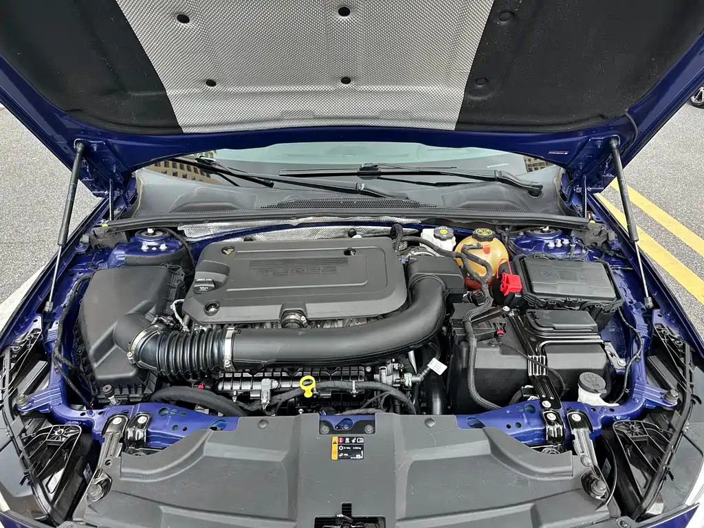 Buick Regal — миниатюра 18