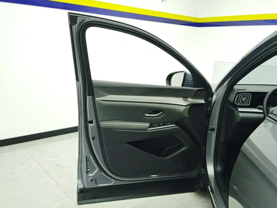 BYD Pro New Energy — миниатюра 7