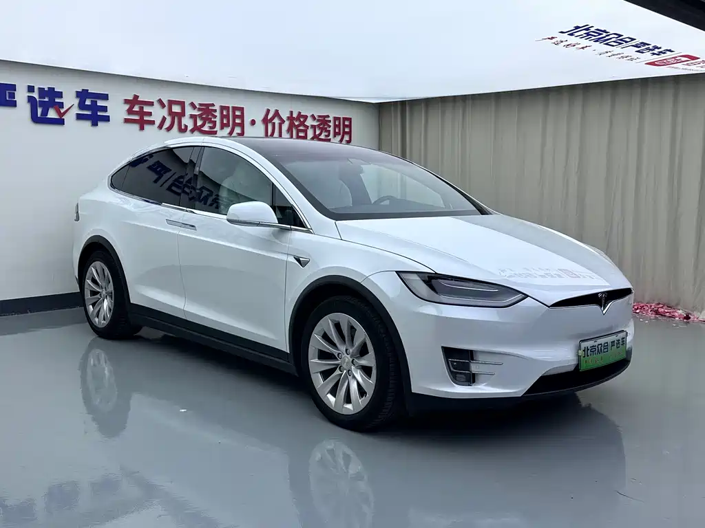 Tesla Model X — миниатюра 2