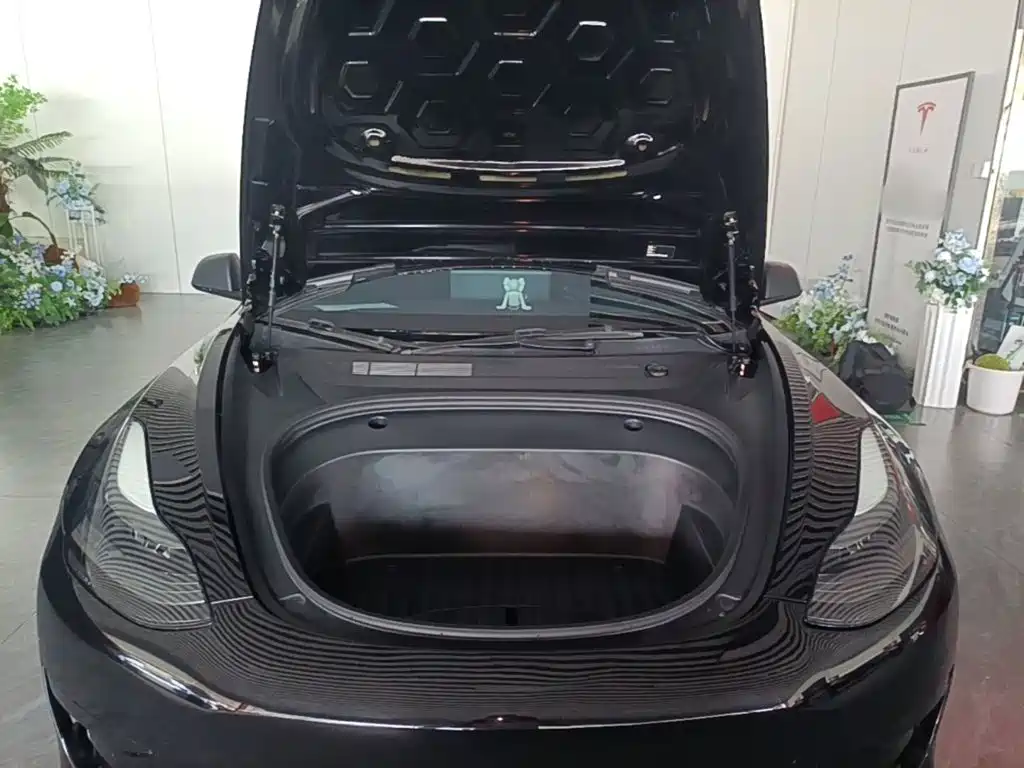 Tesla Model 3 — миниатюра 20