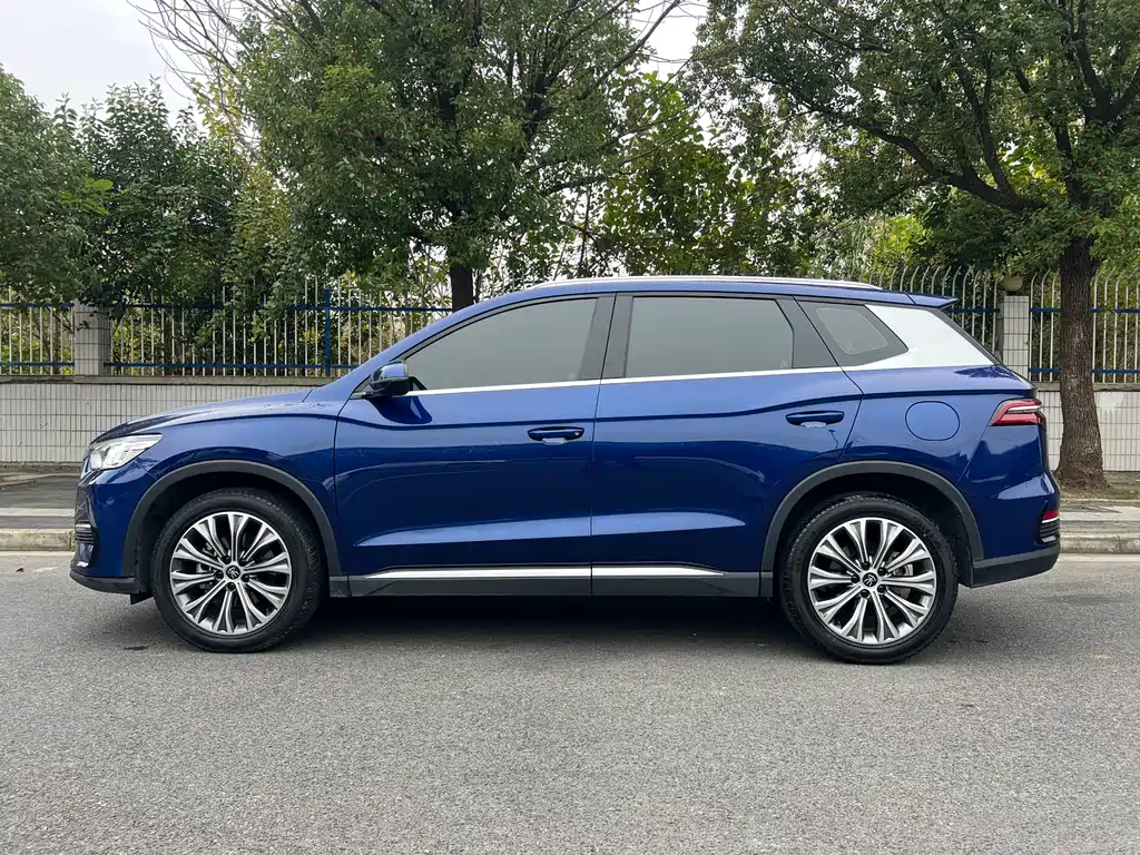 BYD SONGJIANG NEW ENERGY