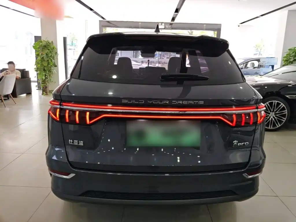 BYD Pro New Energy — миниатюра 6