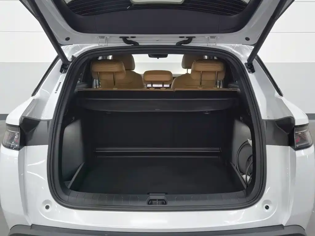 BYD L DM-i — миниатюра 16