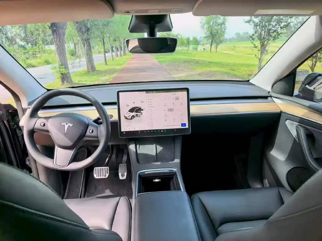 Tesla Model Y — миниатюра 6