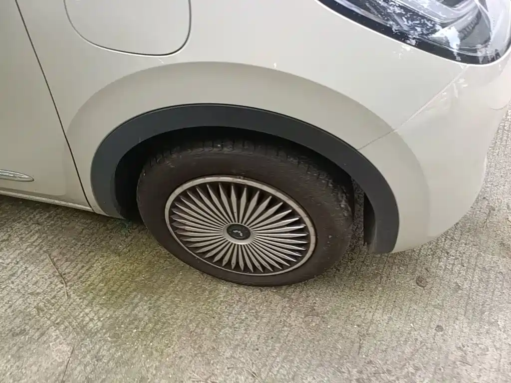 Wuling Bingo — миниатюра 12