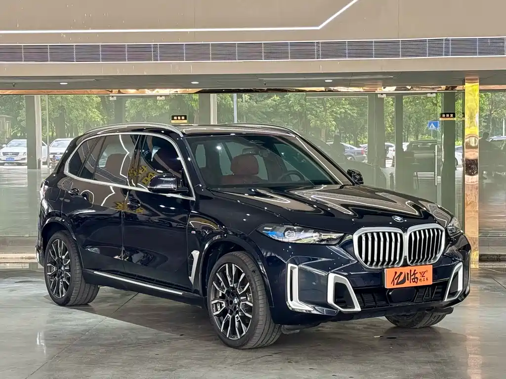 BMW X5 — миниатюра 3