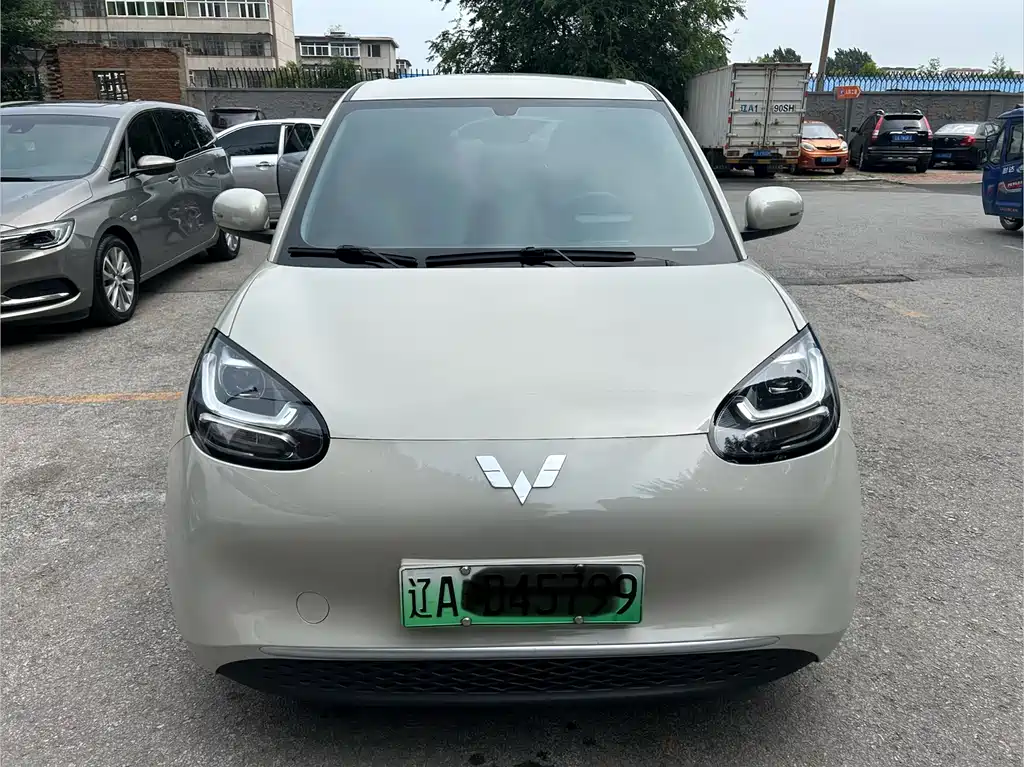 Wuling Binguo 2023 333km