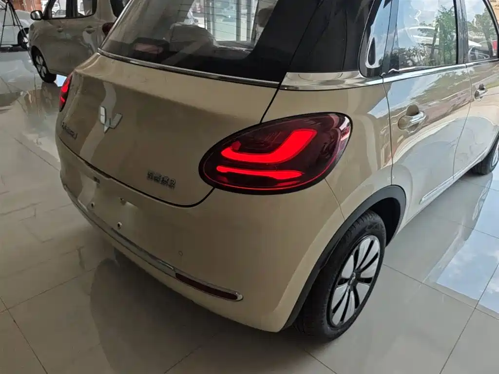 Wuling Binguo 2025 333km Enjoy