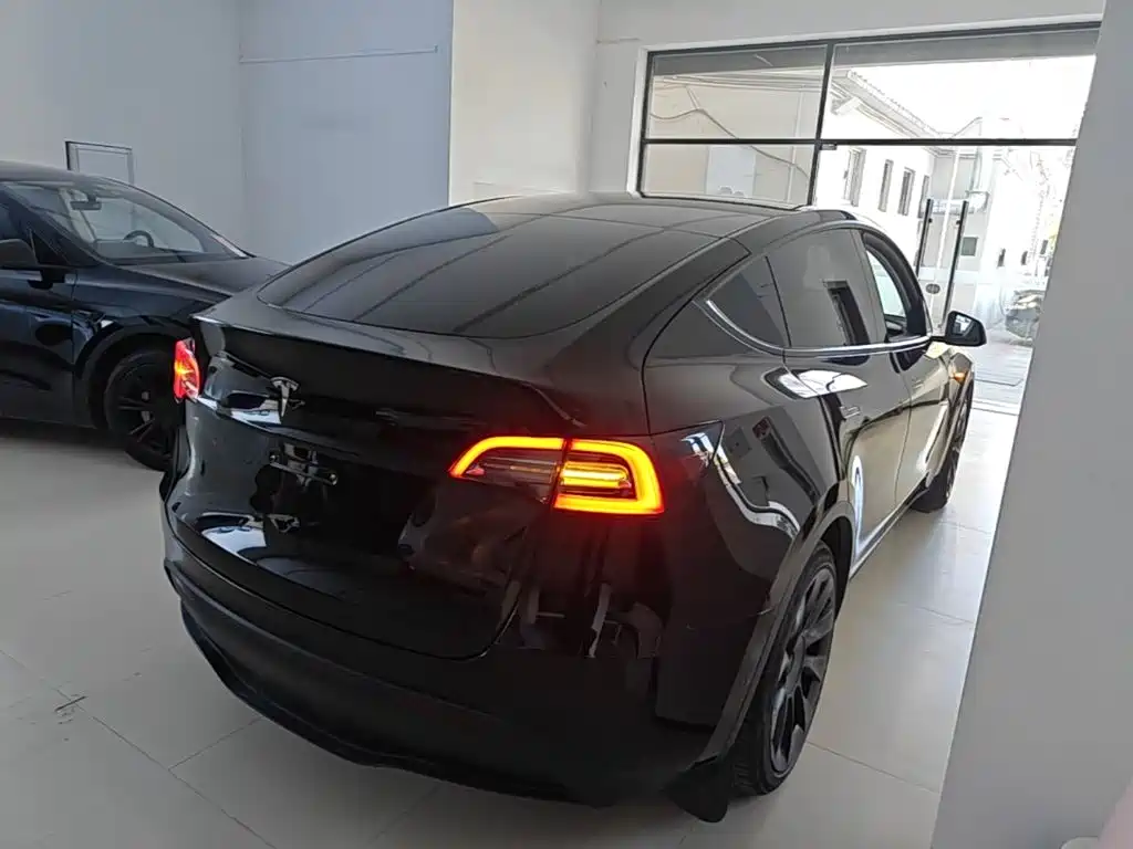 Tesla Model Y — миниатюра 7