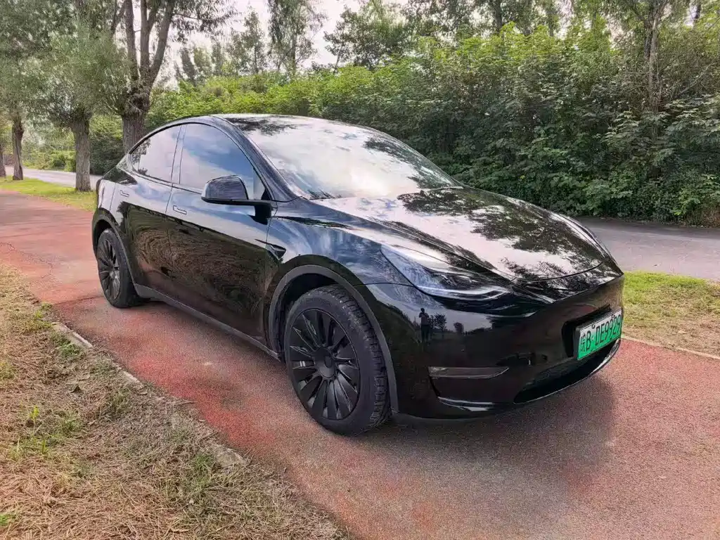 Tesla Model Y — миниатюра 3