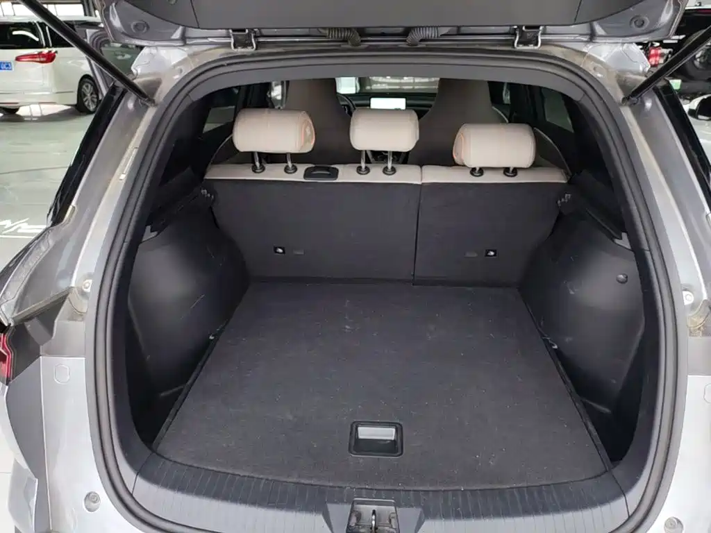 BYD Song Pro DM-i 2024 — фото 18