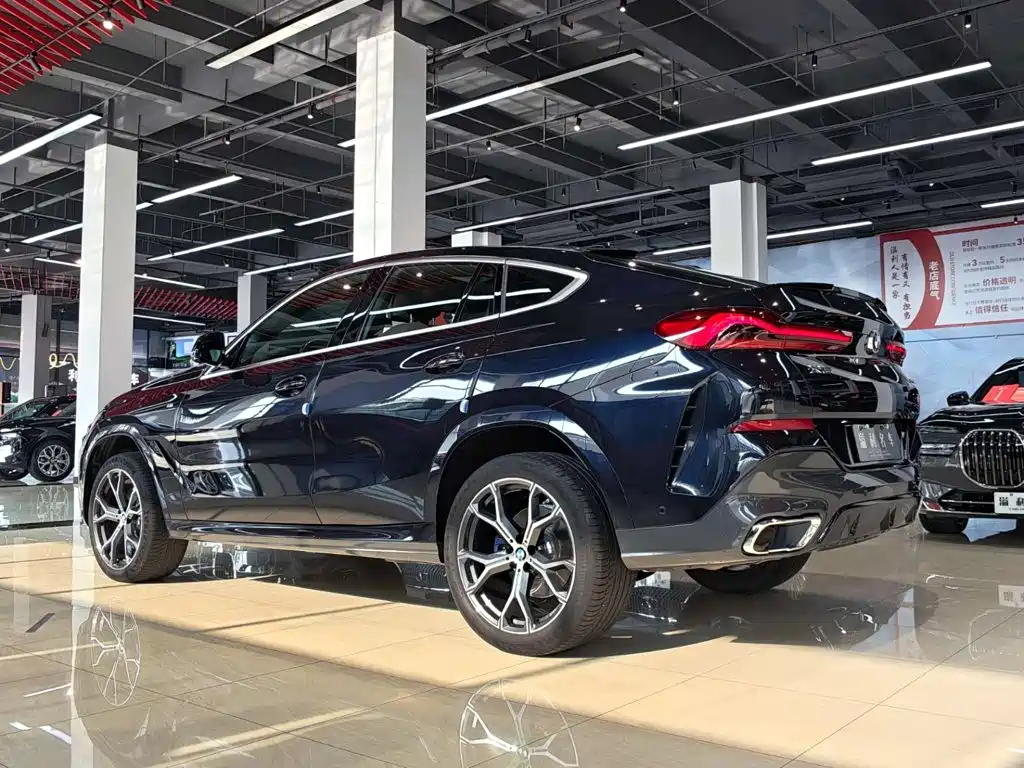 BMW X6 — миниатюра 11