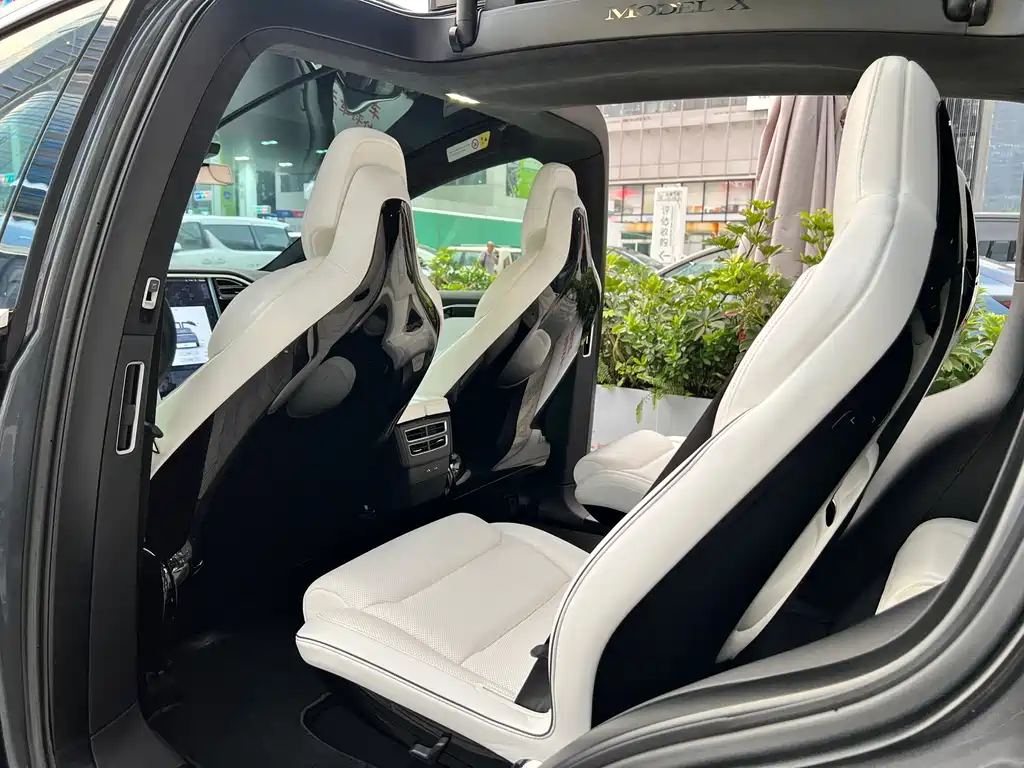 Tesla Model X — миниатюра 11