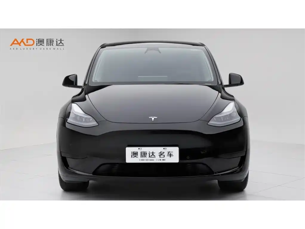 Tesla Model Y — миниатюра 2