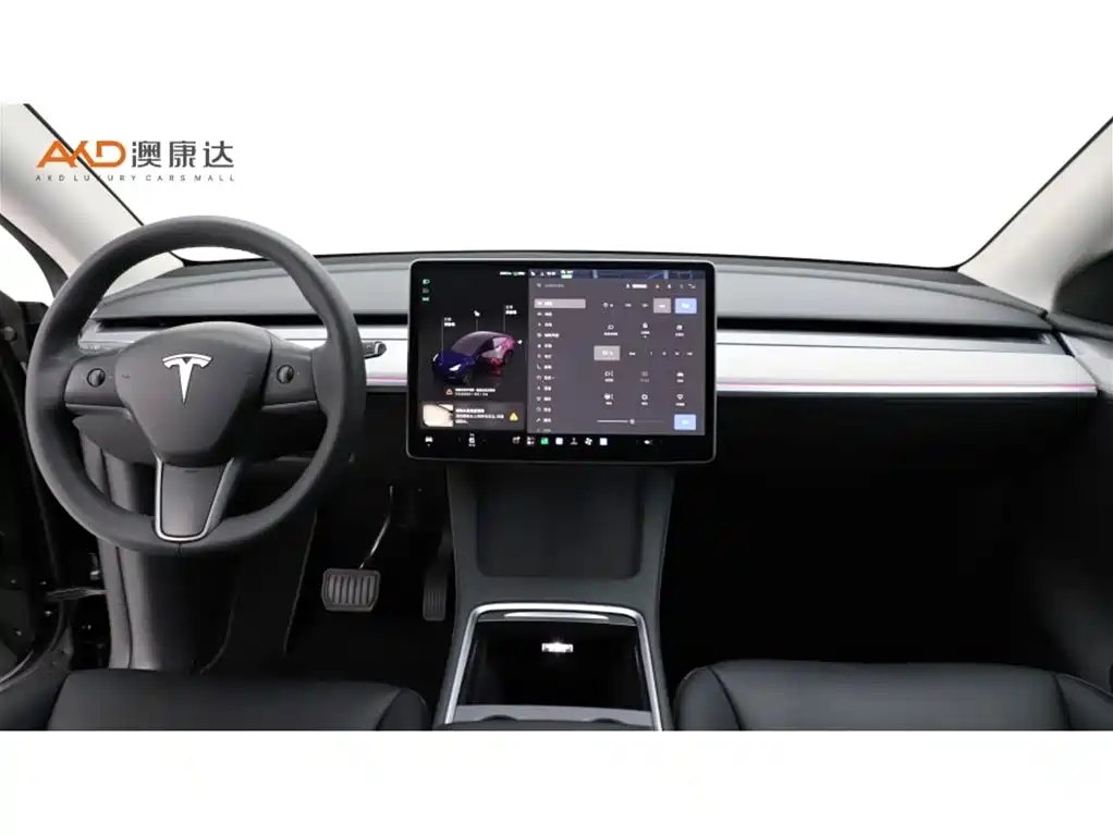 Tesla Model Y — миниатюра 5