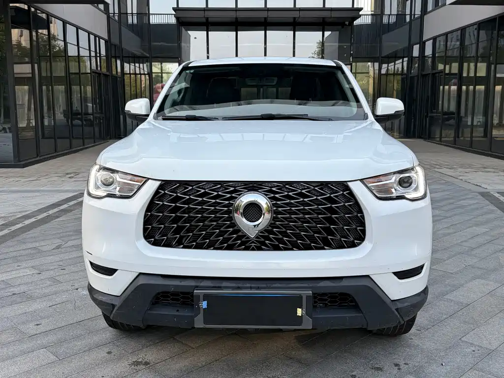 Great Wall Pao — миниатюра 2