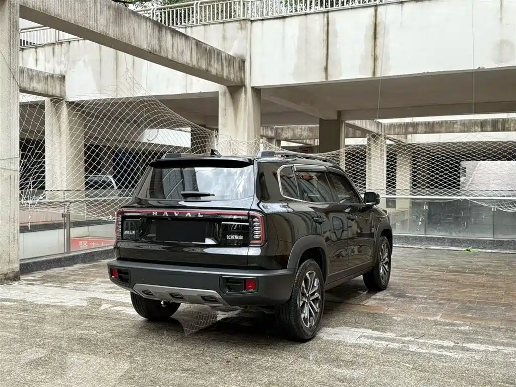 HAVAL BIG DOG
