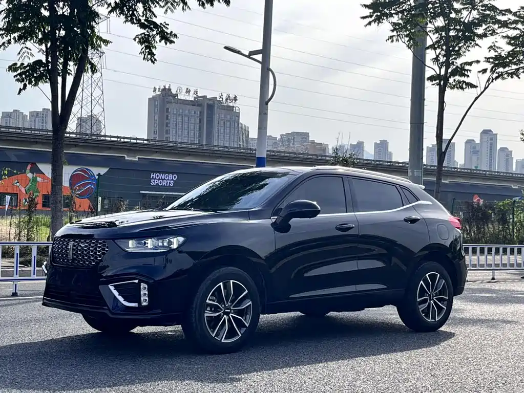Wey Wey VV5 2021