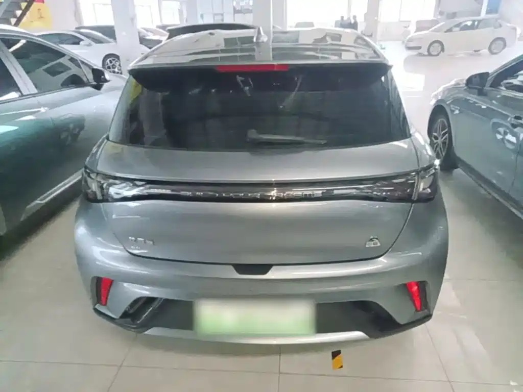 BYD Dolphin — миниатюра 6