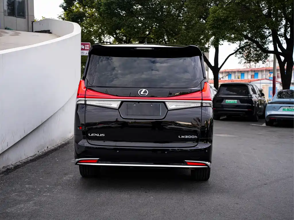 LEXUS LM