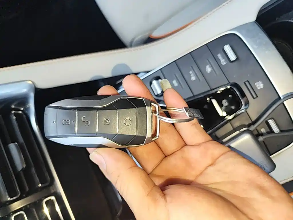 BYD PLUS New Energy — миниатюра 9