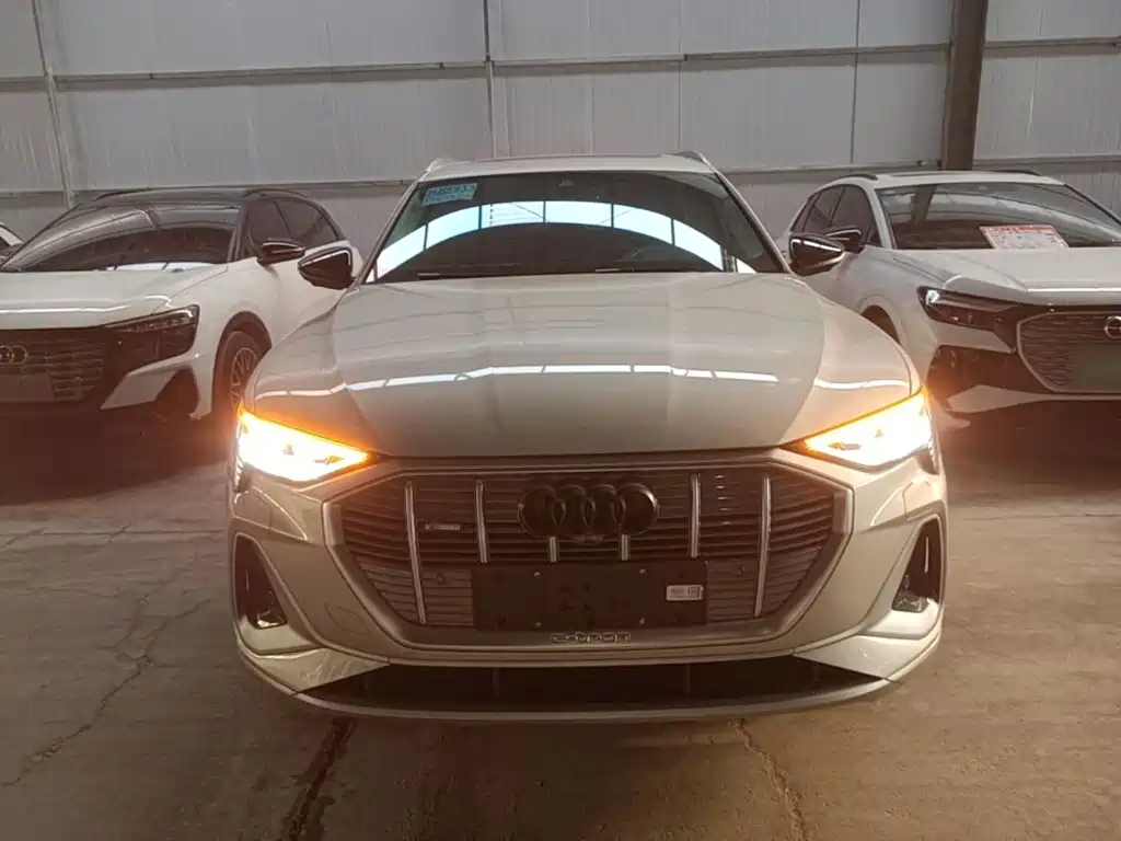 Audi e-tron — миниатюра 3