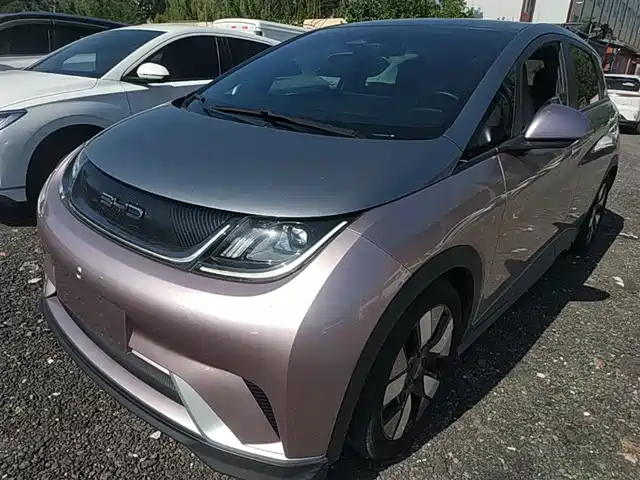 2022 BYD Dolphin