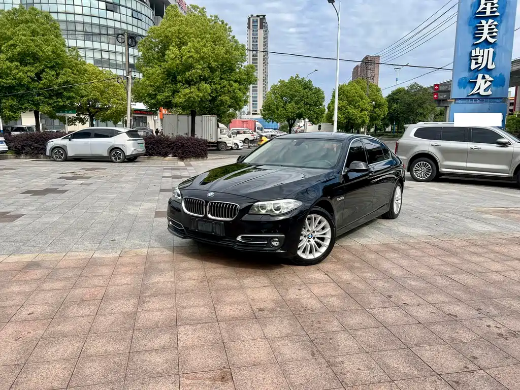 BMW 5 Series 2014