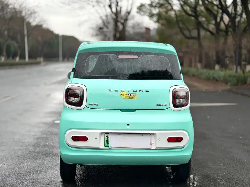 BESTUNE PENTIUM PONY