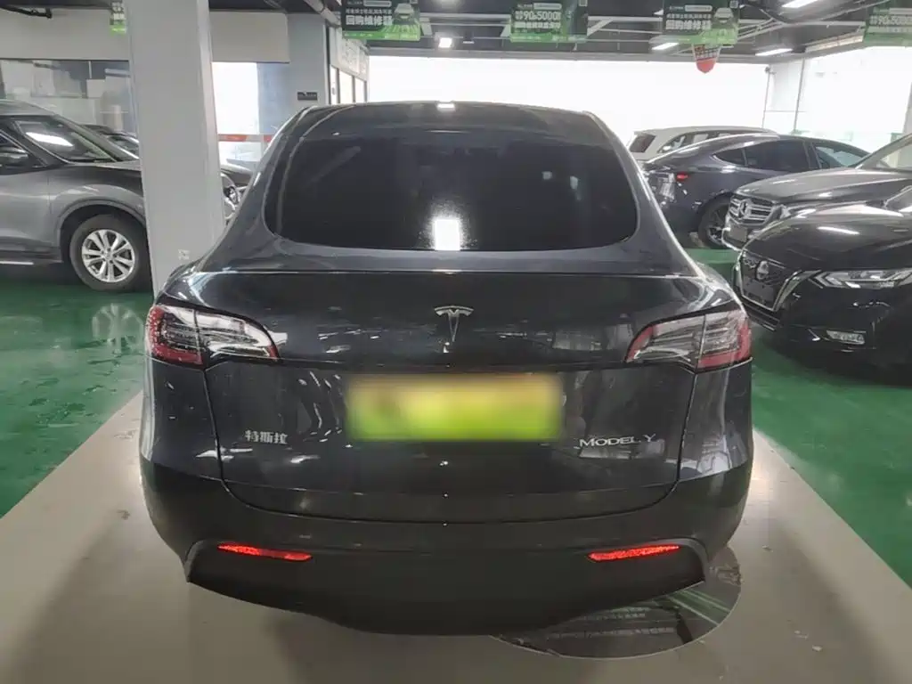 Tesla Model Y — миниатюра 6