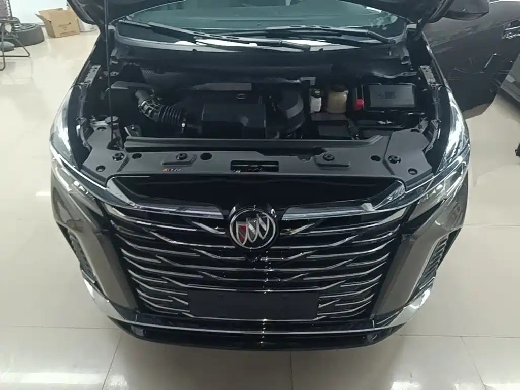 Buick GL8 — миниатюра 20