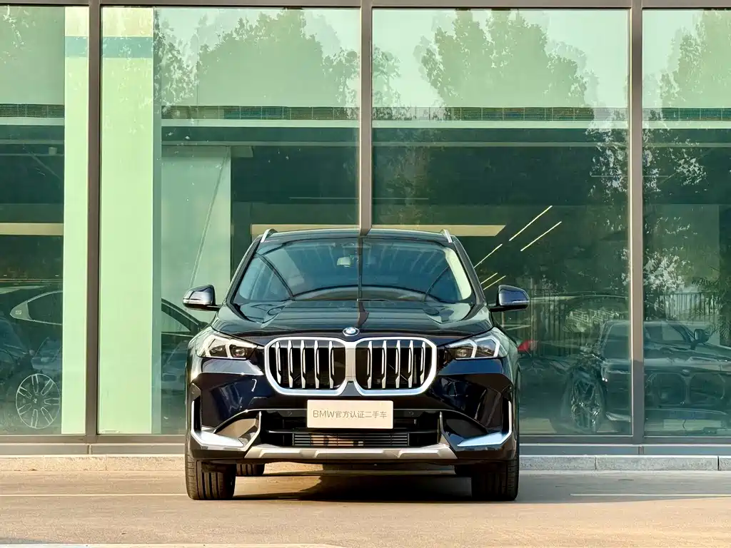 BMW X1 — миниатюра 2