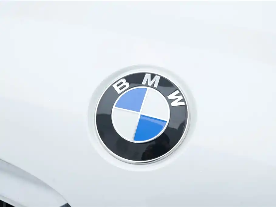 BMW 5 Series 5 2018 530Li Premium M Sport