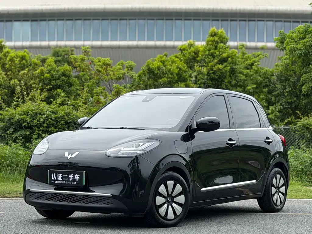 Wuling Bingo