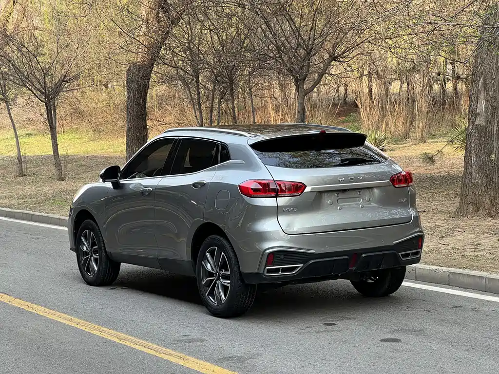 WEI PAI WEI BRAND VV5