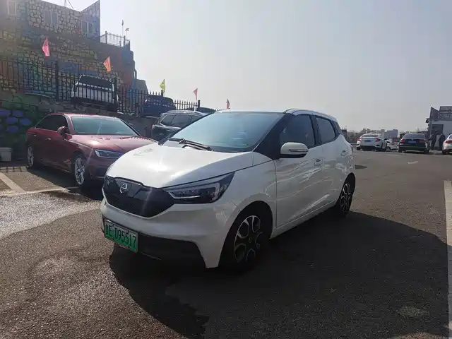 JMEV EASY TO EV3 2019