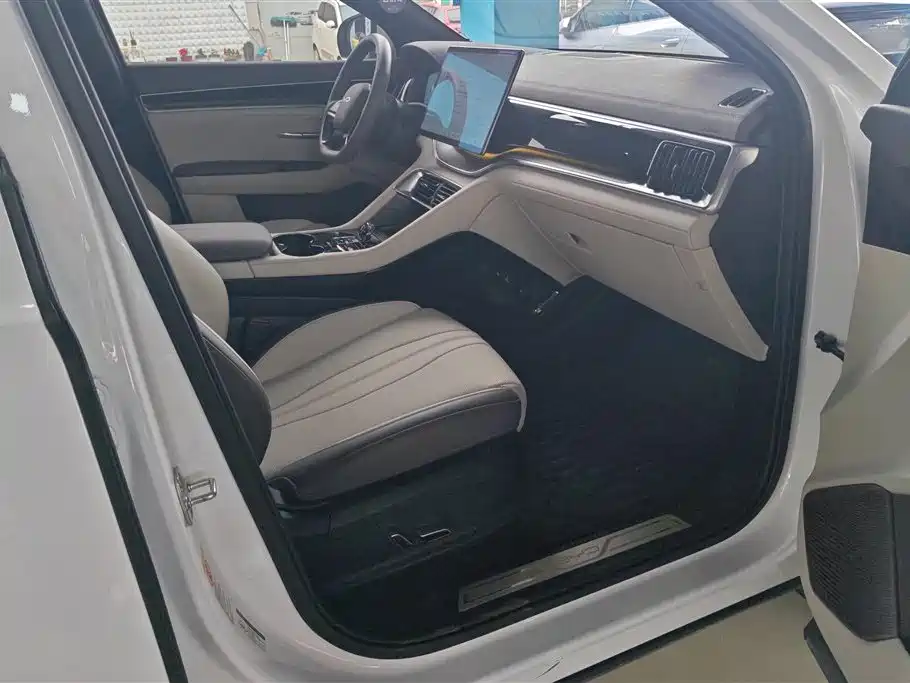 BYD SONGJIANG NEW ENERGY