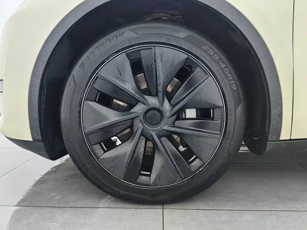 Tesla Model Y — миниатюра 17