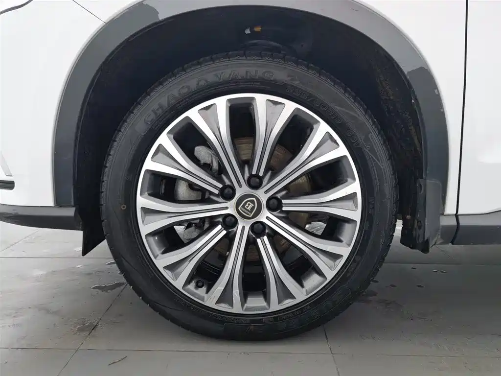 BYD SONGJIANG NEW ENERGY