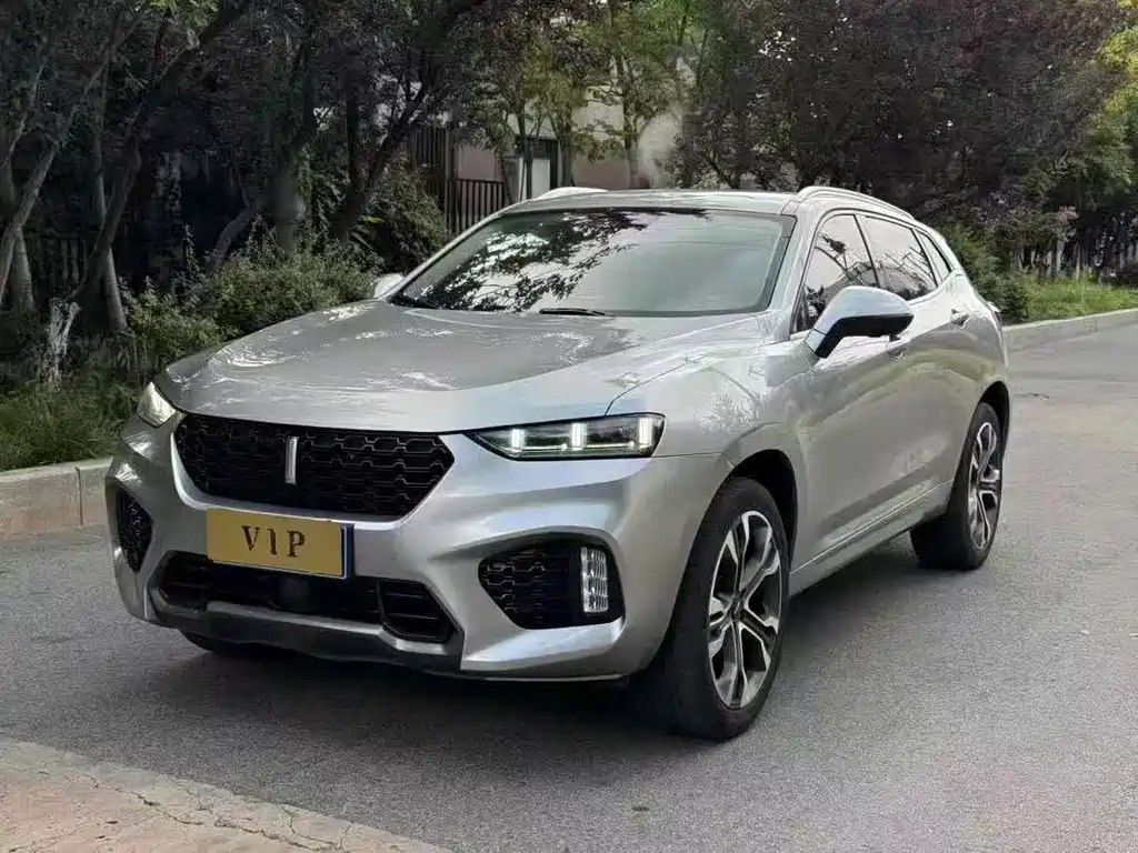 WEI PAI WEI BRAND VV7