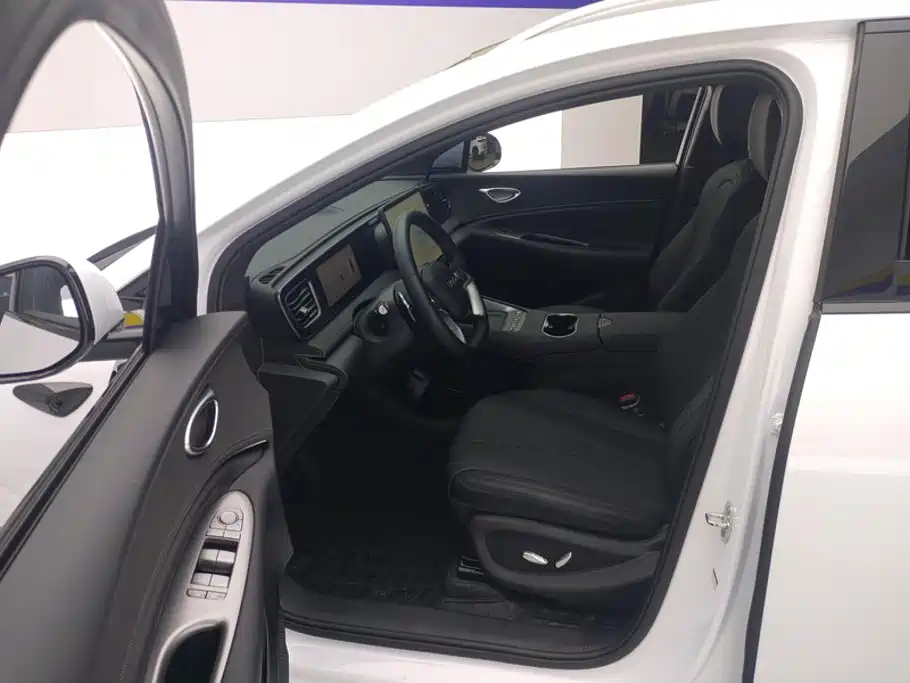 BYD Sealion 06 — миниатюра 9
