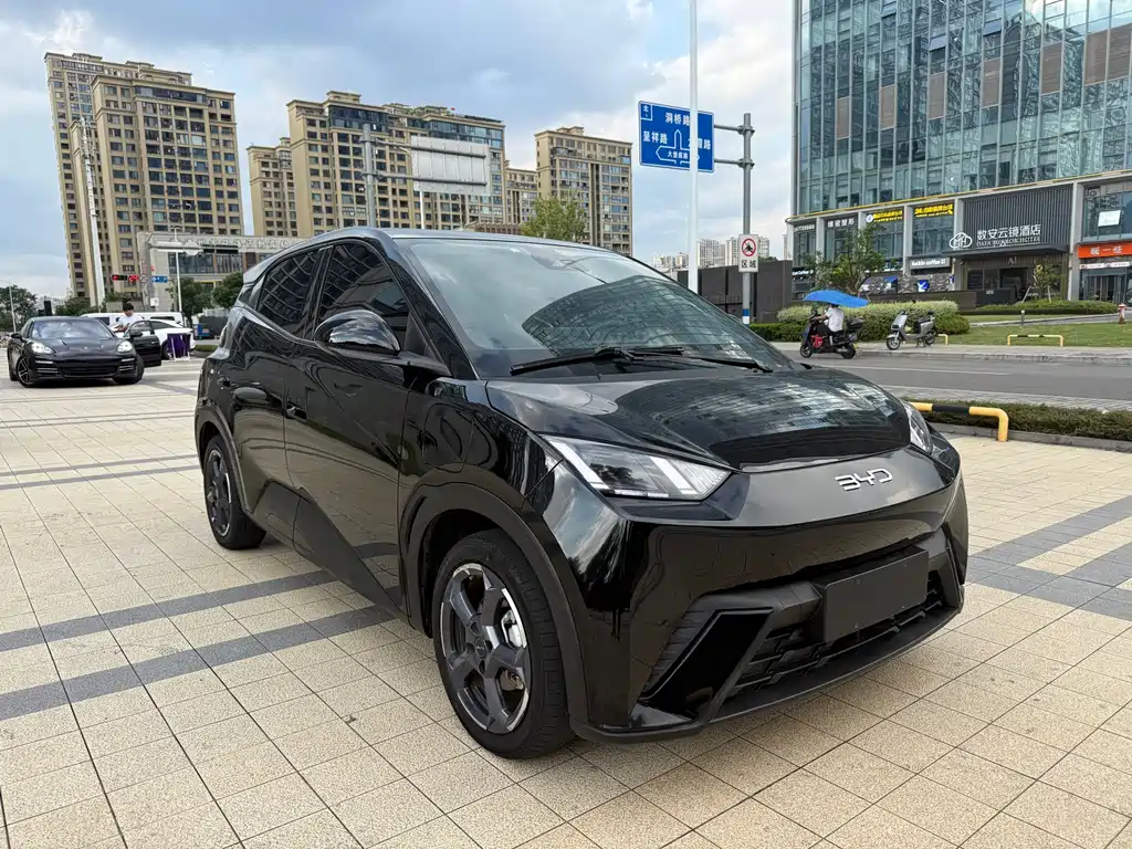 BYD Seagull — миниатюра 3