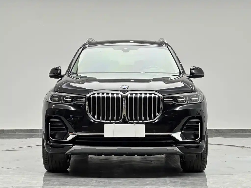 BMW X7 — миниатюра 2