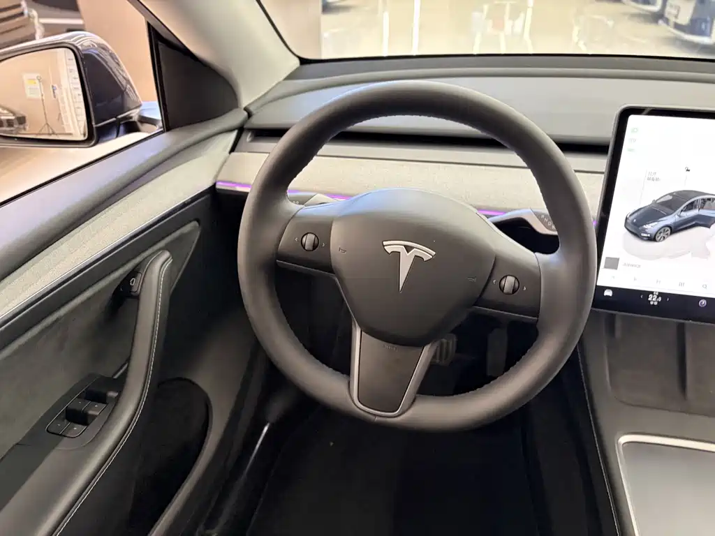 Tesla Model Y — миниатюра 15